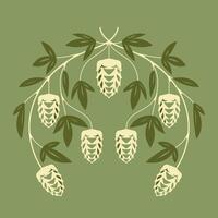 botanical drawing of green hop sprig with flower buds and leaves vector
