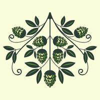 hop on a branch with leaves. Humulus lupulus illustration for beer packaging and pattern vector