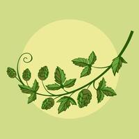 Hops in Bloom The Heart of Craft Beer Illustration vector
