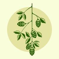 Hop branch with leaves and cones for beer graphic element vector