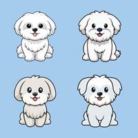 Cute Maltese Dog Sitting isolated illustration Bundle vector