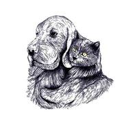 cat and dog hugging looking to one side on white background. vector