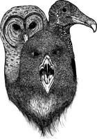 three heads of predatory birds, eagle, owl, and vulture into one illustration. vector
