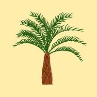 A palm tree with a brown trunk and green leaves vector