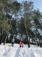 Family enjoys a winter day walk through the snowy forest photo
