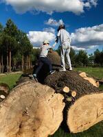 Two young boys climbing on large tree logs in a forest photo