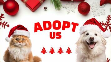 Cute Pet Adoption with Christmas Theme Facebook Mobile Cover template