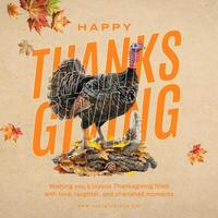 seaason greeting for thanksgiving template