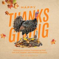 seaason greeting for thanksgiving template