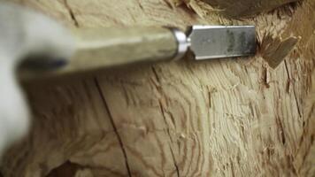 The Intricate and Detailed Wood Carving Process Using a Chisel in Artisan Craftsmanship. Stock Clip photo