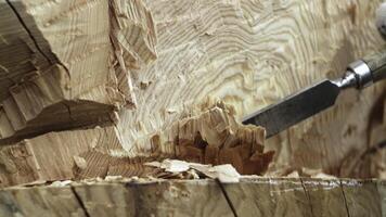 This is a Detailed View of Woodworking techniques featuring a Carving Tool on Fresh Timber. Stock Clip photo