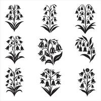 Lily Flower Outline Lineart Silhouette Icons Set Of Black And White Illustration On White Background vector