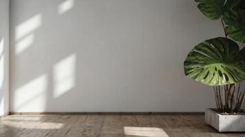 An empty room with a large plant in a pot photo