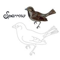 Educational game connect the dots to draw sparrow bird cartoon doodle hand drawn illustration vector