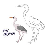 Educational game coloring book heron bird cartoon doodle hand drawn illustration vector