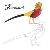 Educational game connect the dots to draw pheasant bird cartoon doodle hand drawn illustration vector