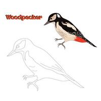Educational game connect the dots to draw bird cartoon doodle hand drawn illustration vector