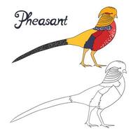 Educational game coloring book pheasant bird cartoon doodle hand drawn illustration vector