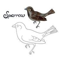 Educational game coloring book sparrow bird cartoon doodle hand drawn illustration vector