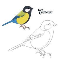 Educational game connect the dots to draw titmouse bird cartoon doodle hand drawn illustration vector