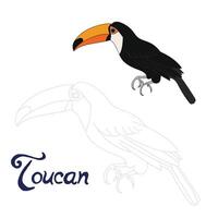 Educational game connect the dots to draw toucan bird cartoon doodle hand drawn illustration vector