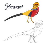 Educational game connect the dots to draw pheasant bird cartoon doodle hand drawn illustration vector