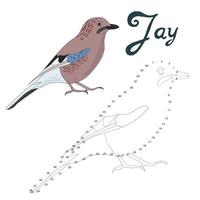 Educational game connect the dots to draw jay bird cartoon doodle hand drawn illustration vector
