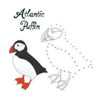 Educational game connect the dots to draw atlantic puffin bird cartoon doodle hand drawn illustration vector