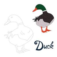 Educational game connect the dots to draw duck bird cartoon doodle hand drawn illustration vector