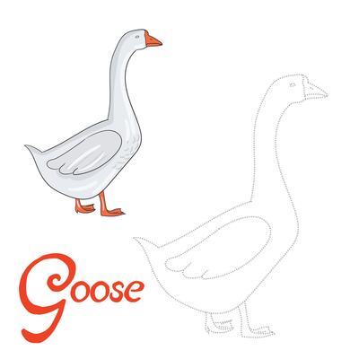 Educational game connect the dots to draw goose bird cartoon doodle hand drawn illustration
