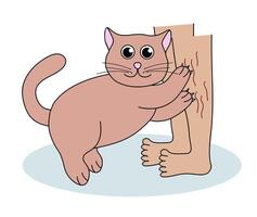 Problem with cat behavior. Kitten scratches legs. Cute hand drawn flat illustration. vector
