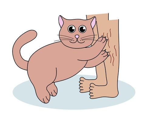 Problem with cat behavior. Kitten scratches legs. Cute hand drawn flat illustration.