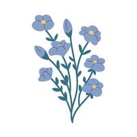 Flat forget-me-nots on white background. Bouquet of wildflowers myosotis isolated. floral element vector