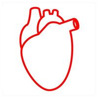 heart and human heart icon concept vector
