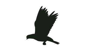 Flying Dove Silhouette Design And Illustration. vector