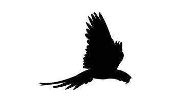 Flying Macaw Bird Silhouette Design And Illustration. vector