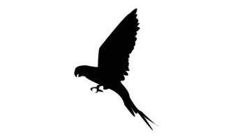 Flying Parakeet Bird Silhouette Design vector