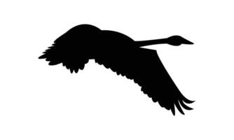 Flying Swan Silhouette Design And Illustration. vector
