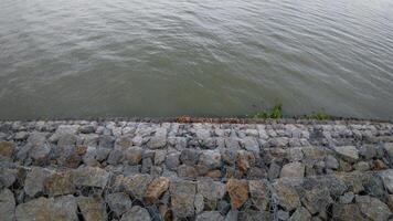 Lake in the early morning photo