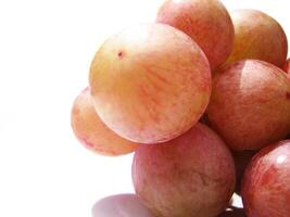 Closeup of rose grape fruits photo