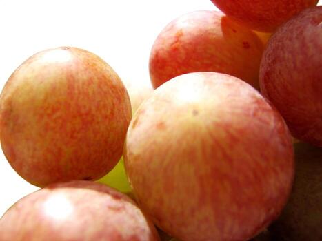 Closeup of rose grape fruits photo