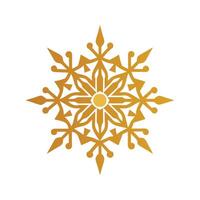 Snowflake Jewelry - Delicate White Crystal Design for Winter Holiday Decor, Elegant and Intricate Art vector