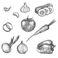 Hand drawn set of vegetables. vector