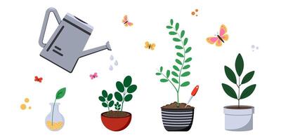 Colorful plants grow in various pots while a watering can showers them vector
