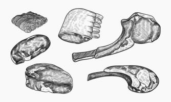 Assorted Cuts Of Meat Drawn In Ink Style vector