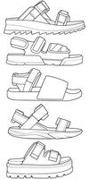 Bundling set outline modern sandal illustration. Modern shoe of sandal cartoon Isolated with white background. vector