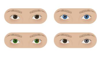 Realistic human eyes with heterochromia. Different colors irises, normal, central, segmental and complete. vector