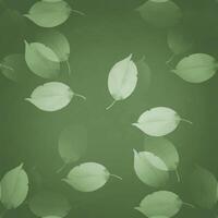 a green background with white leaves vector