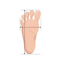 Foot size measurements for children. Footstep length and width metric vector