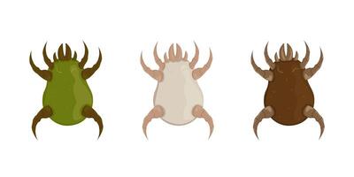Dust mites set. Microscopic dangerous insects cause asthma, allergy, infection and dermatitis. vector